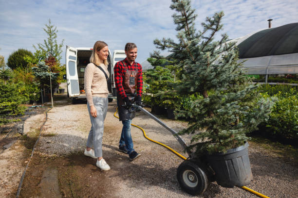 New Cassel, NY Tree Services Company
